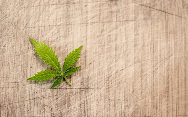 list marihuany na dřevu
